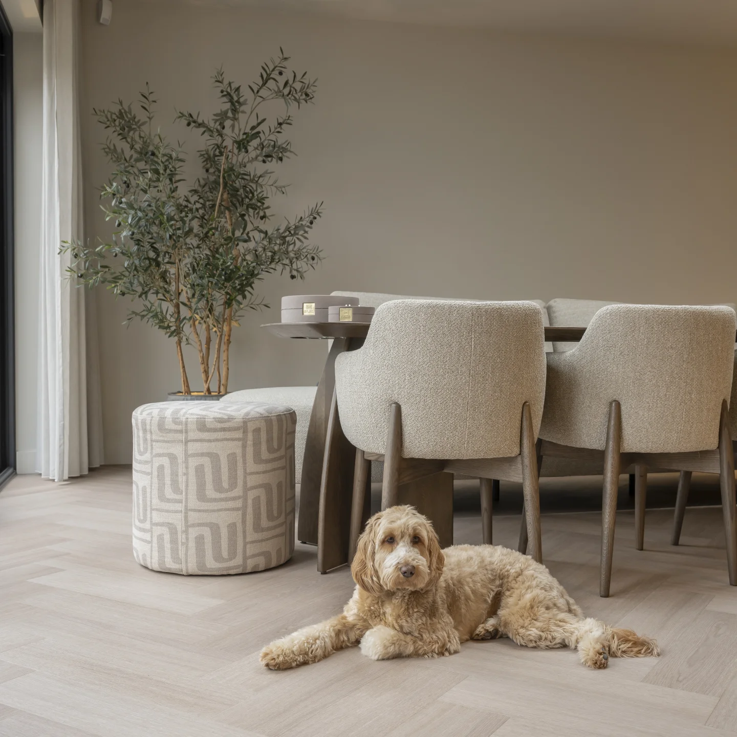 Warm en slijtvast, ook met huisdieren